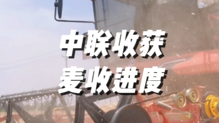 6月4日，河南麥收進程過半。中聯(lián)收獲與廣大農(nóng)機手朋友一同再接