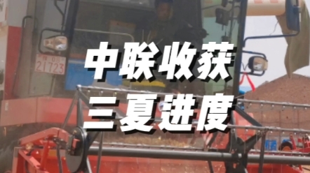 2023年三夏麥?zhǔn)照w進(jìn)度，河南進(jìn)入麥?zhǔn)针A段
