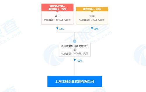 馬云旗下公司全資收購寶恩企業管理咨詢，深化商業版圖布局